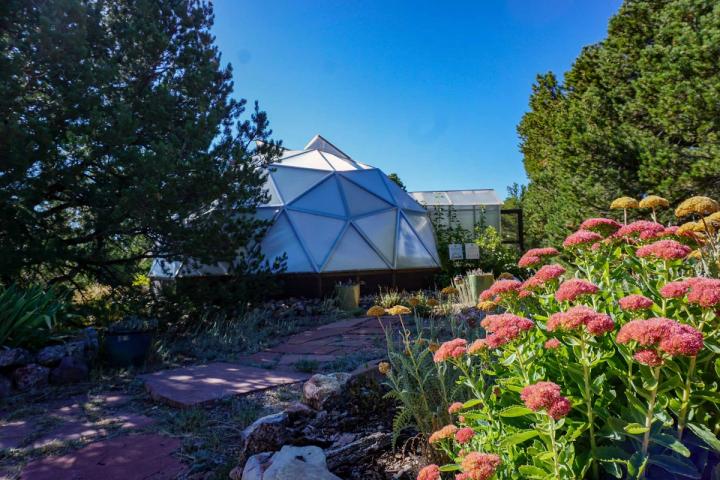 Growing Dome in the shadow of the pines, a flagstone path runs past it and there are yarrow and bee plants in the foreground