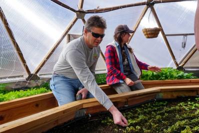 Lem Tingley sneaking a Sorrel snack