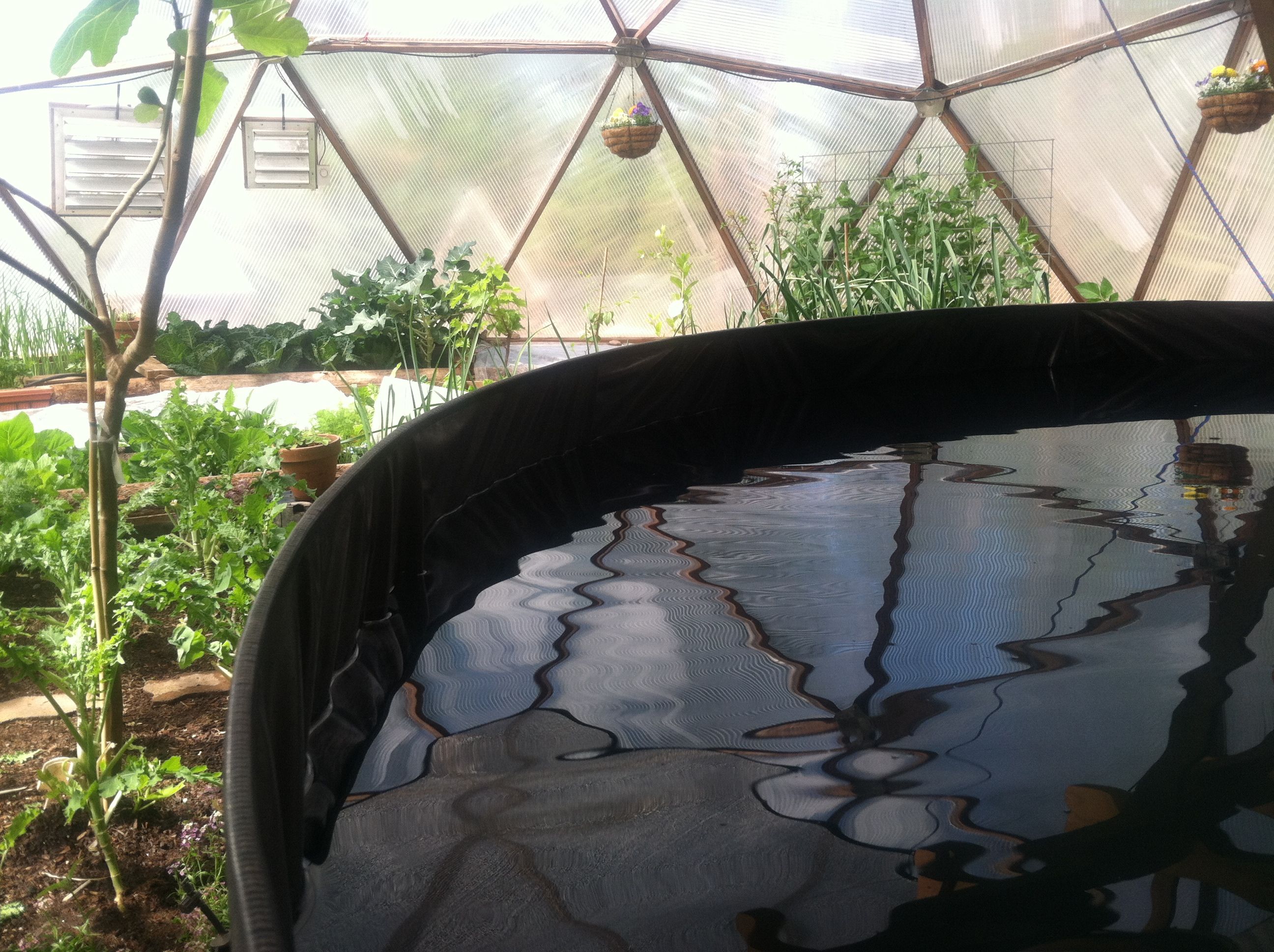 Round pond with water level 4-6 inches below the top of the wall