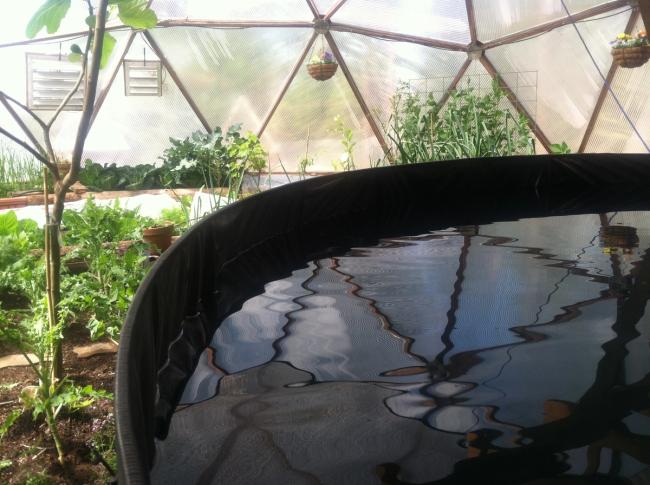 Round pond with water level 4-6 inches below the top of the wall