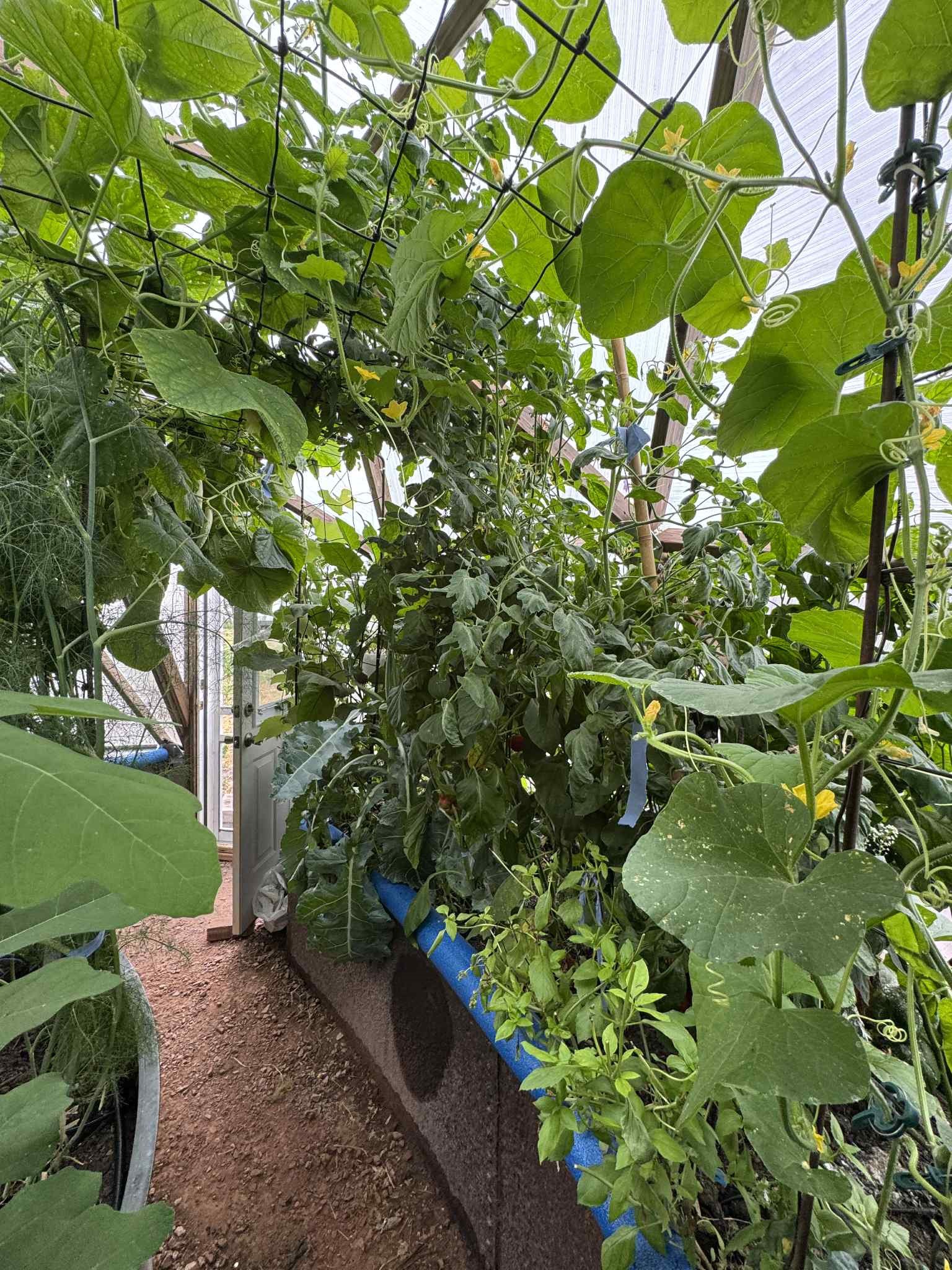 dome produce
