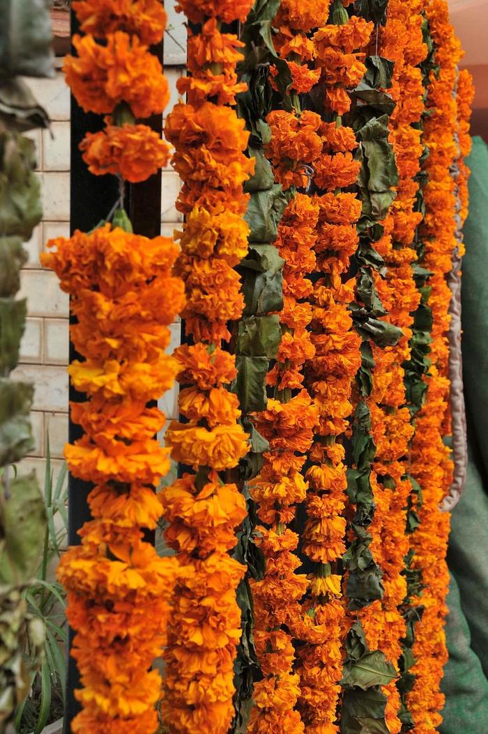 orange marigold garland