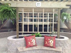 Pergola build inside a Growing Dome greenhouse