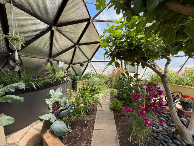 Curved raised beds and flowering plants arranged inside a Growing Dome