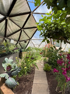 Interior of a Growing Dome Greenhouse with a large fig tree, flowers, vegetables, and an above ground pond
