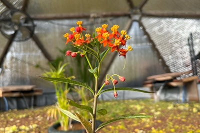 2018 Growing Spaces Articles Archive image