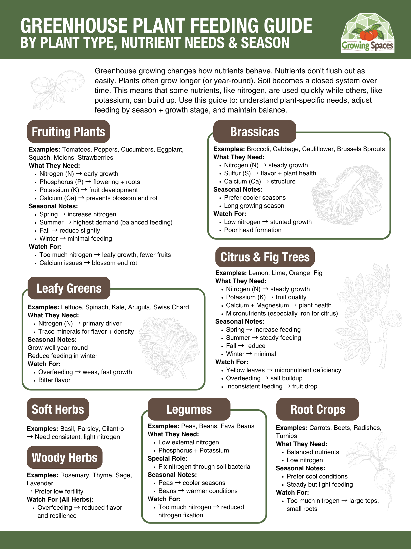 Greenhouse Plant Feeding Guide image