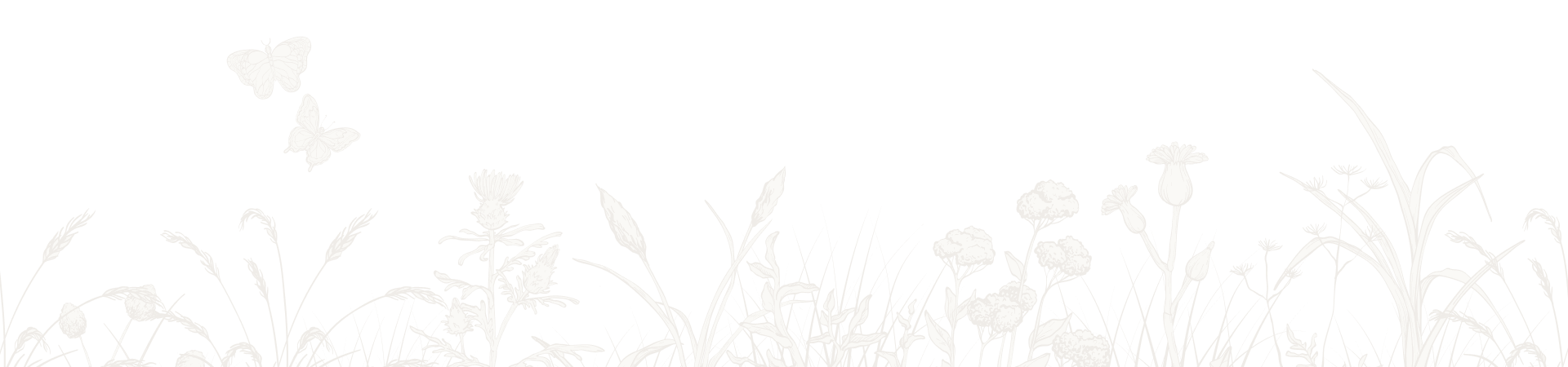 Fougere background