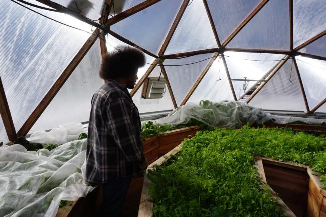 Gardener overlooking a Growing Dome greenhouse garden with row cover around the perimeter beds
