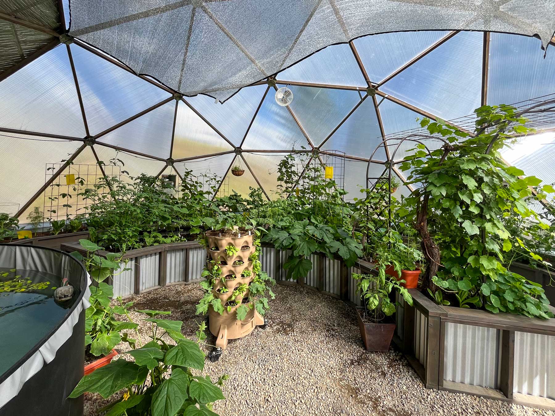 garden_tower_33_new_plants