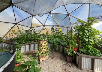 garden_tower_33_new_plants