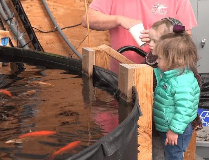 Feeding the Fish!