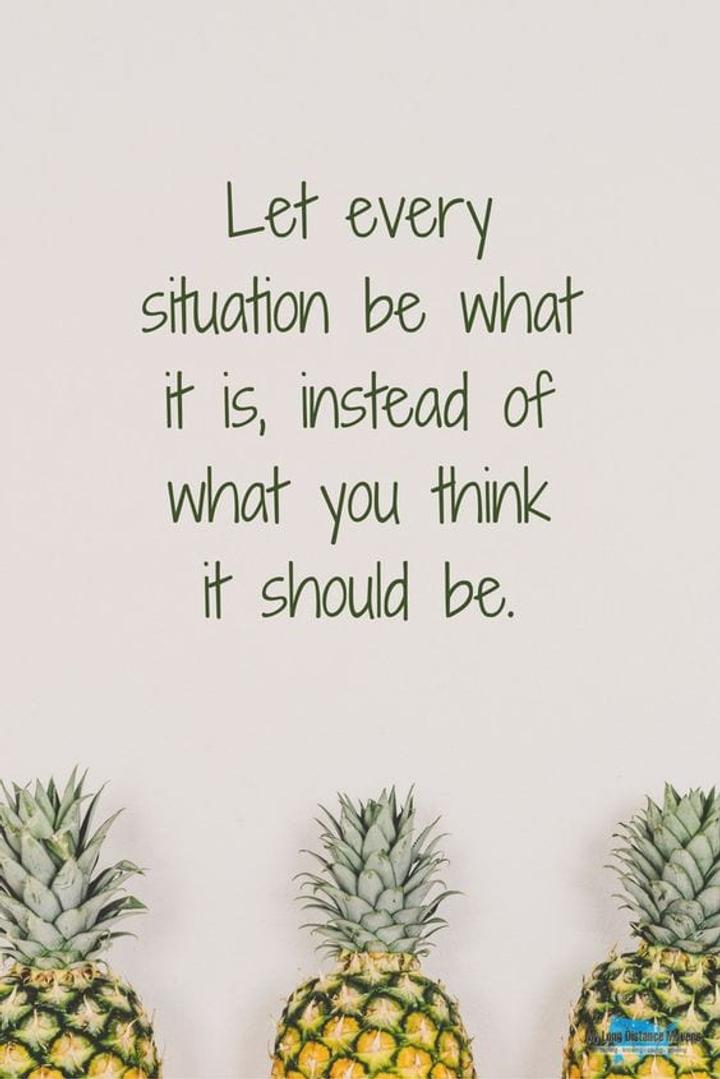 Let every situation be what it is quote