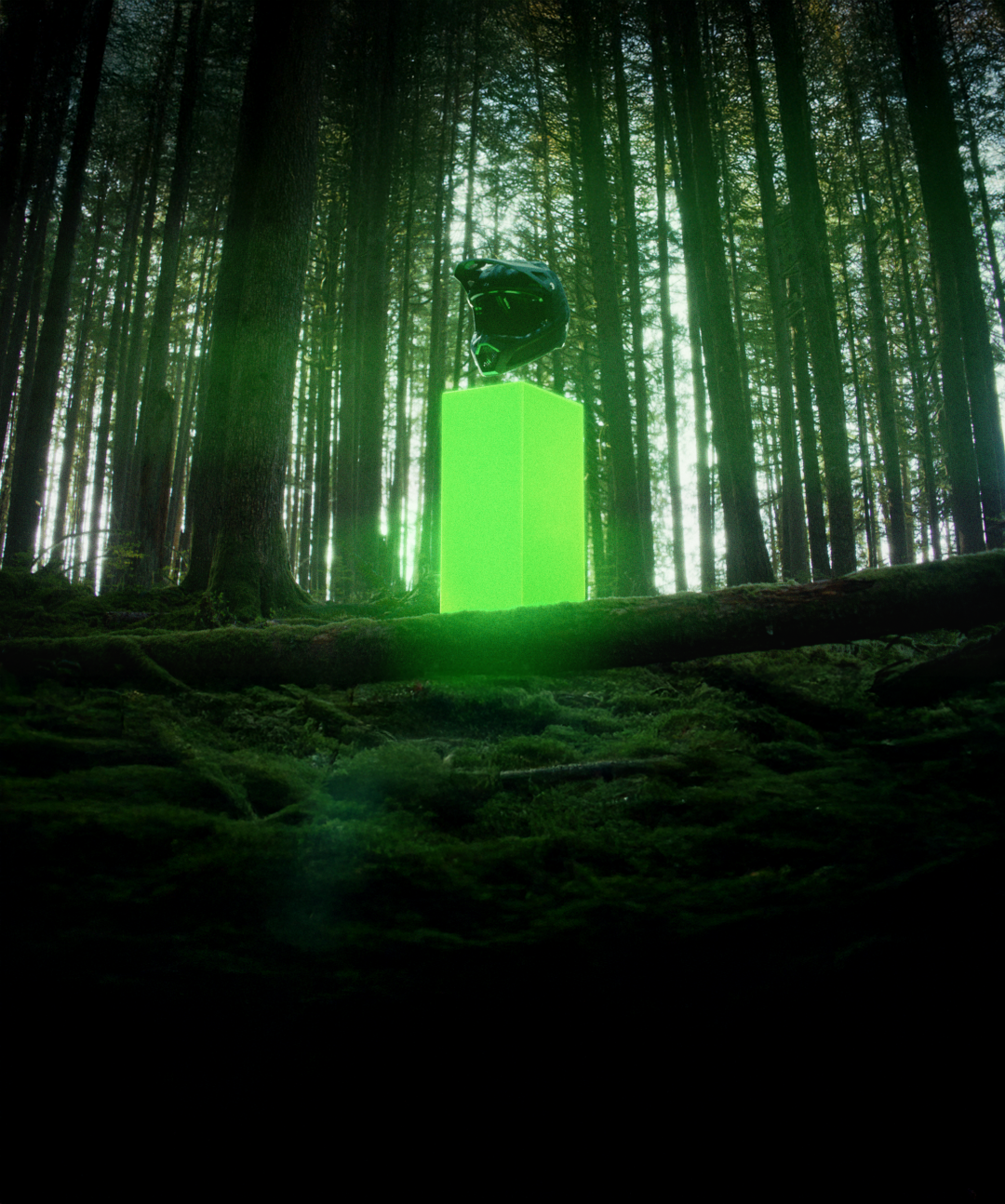 Casco Rampage RS Fox