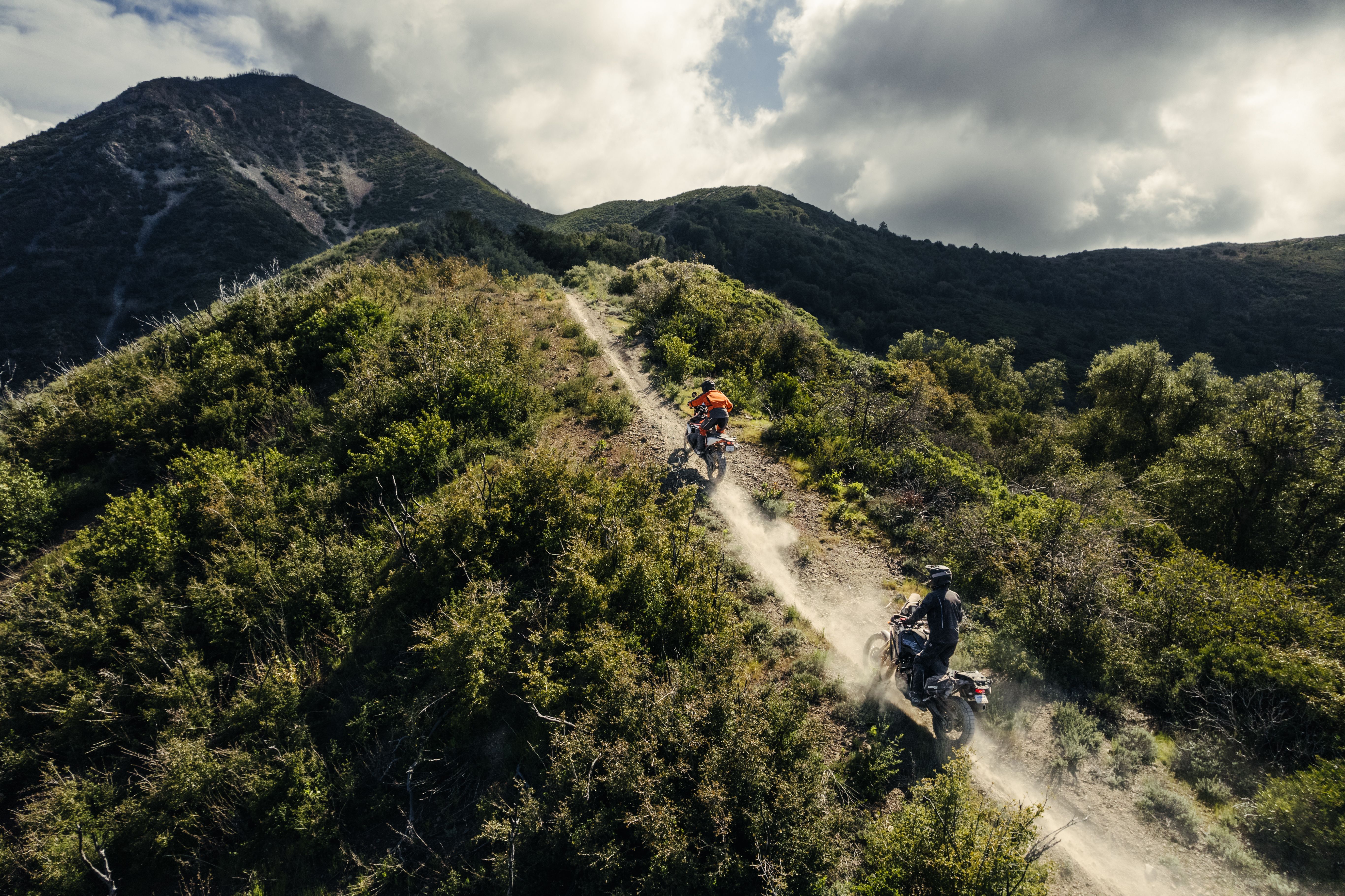 Fox collezione adventure