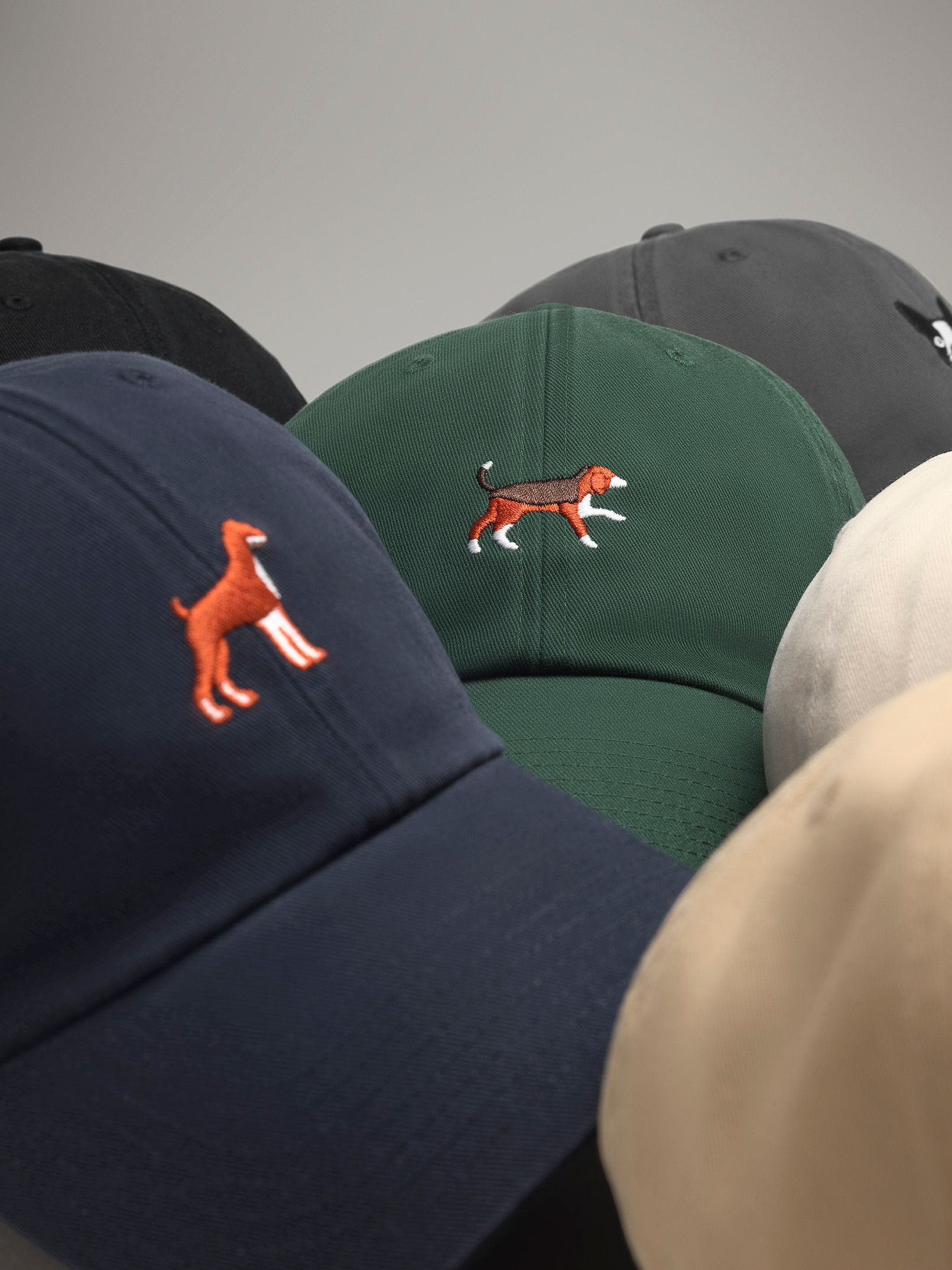 Dogs Vari Particolari