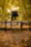 Canale TikTok skate Italia