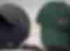 Dogs 4 cappellini