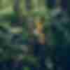 Fox Racing mountain bike Italia