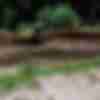 Fox Racing motocross Italia