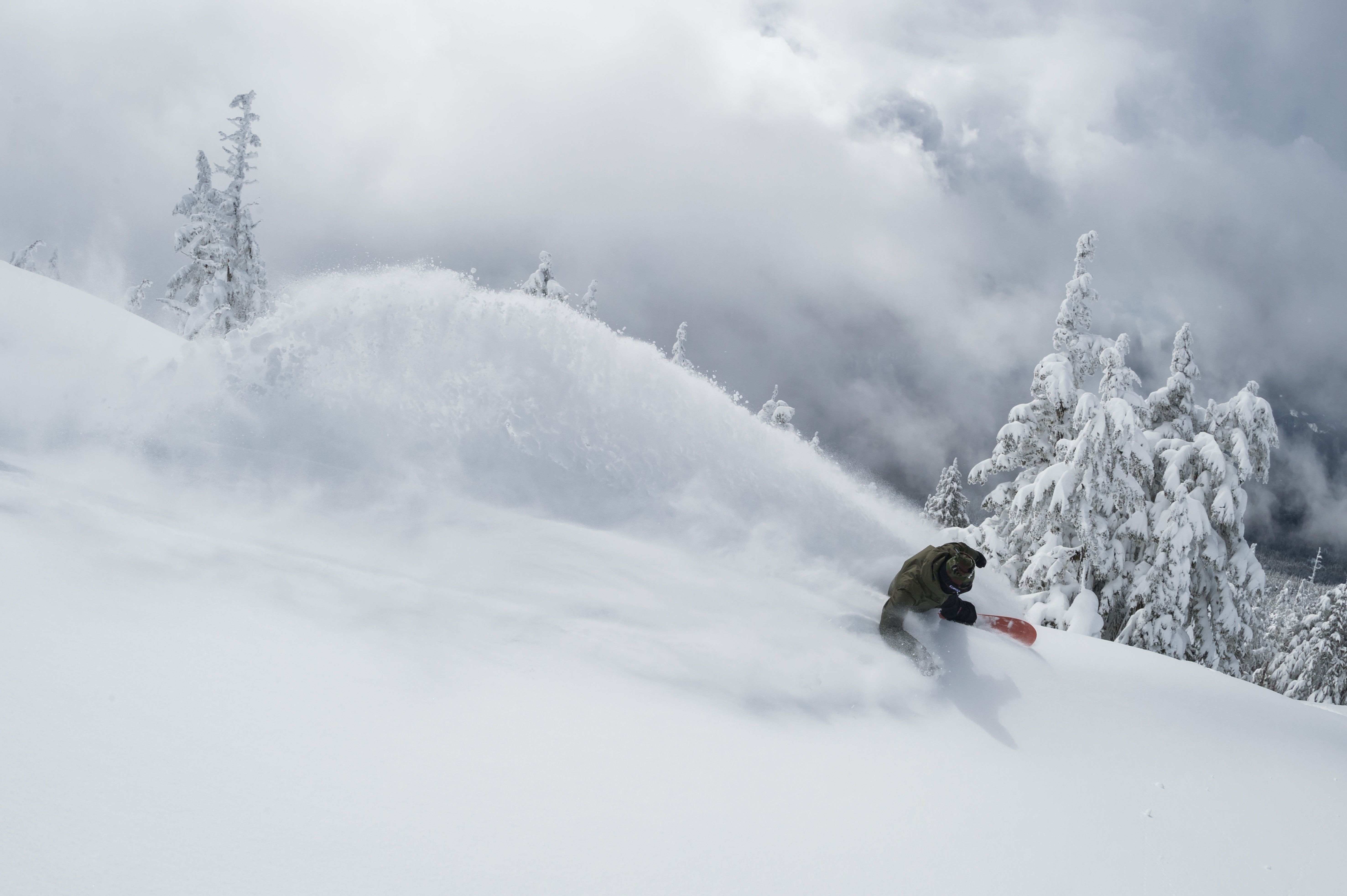 snowboard distribution company