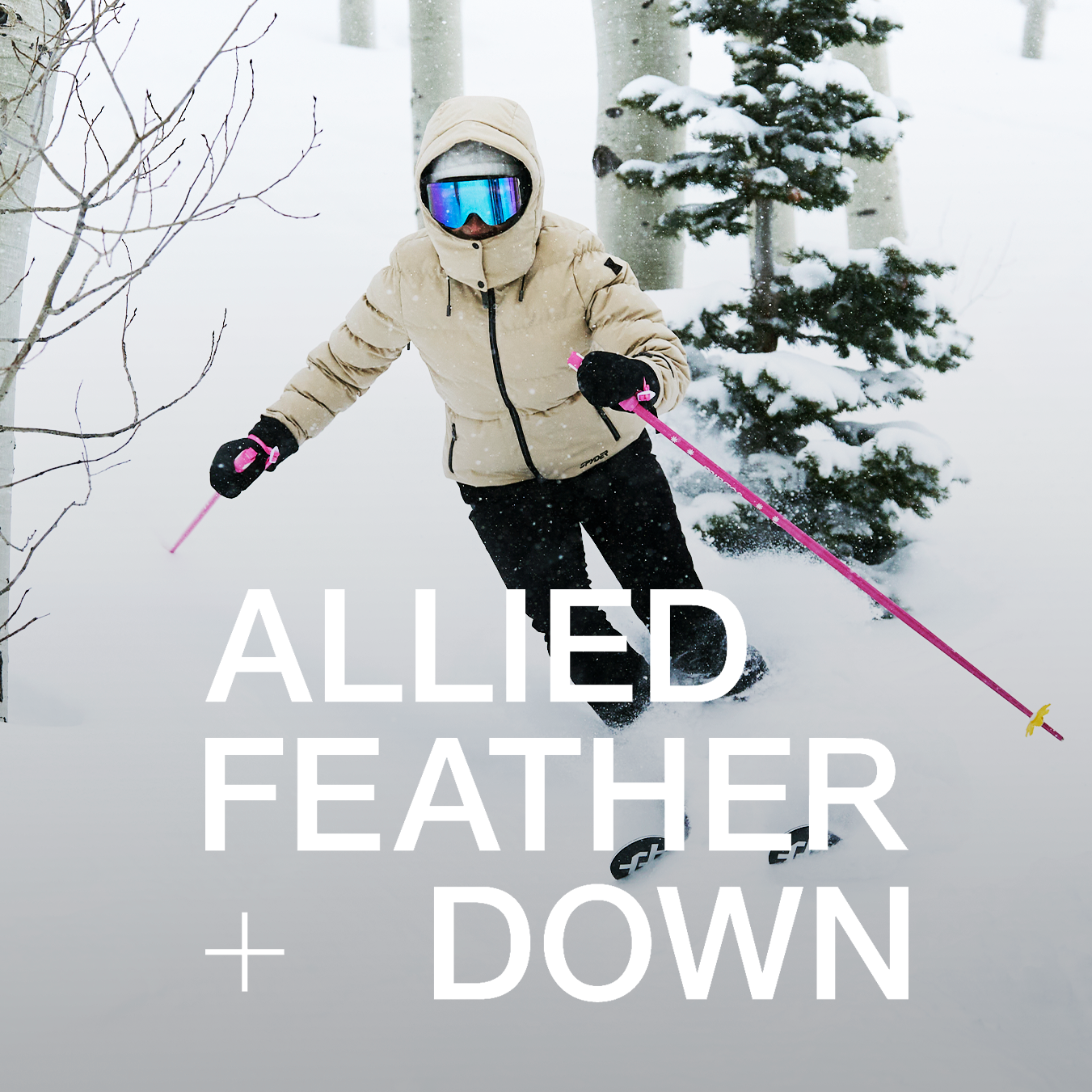 sciatrice con logo allied feather + down