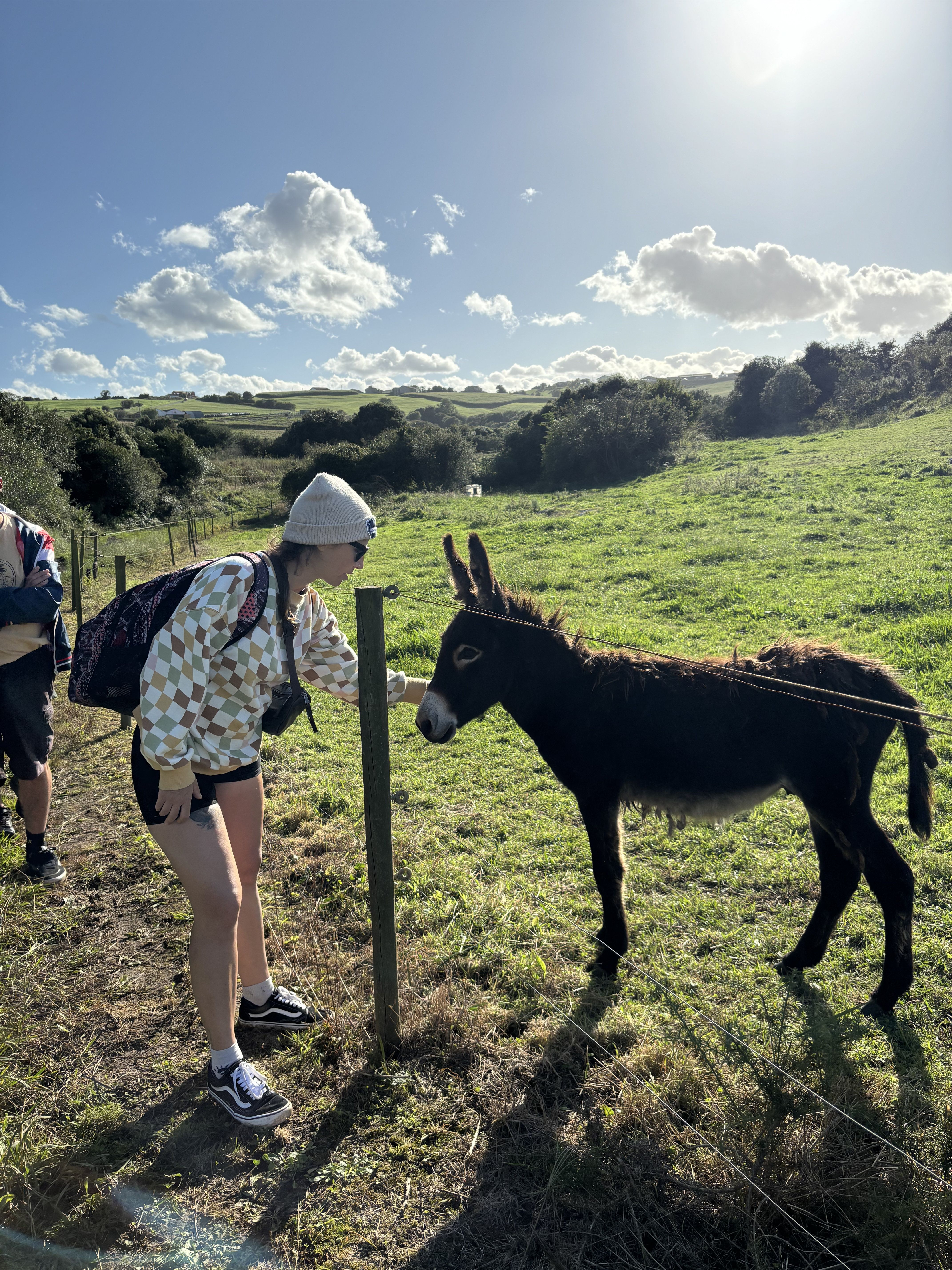 ragazza accarezza mulo