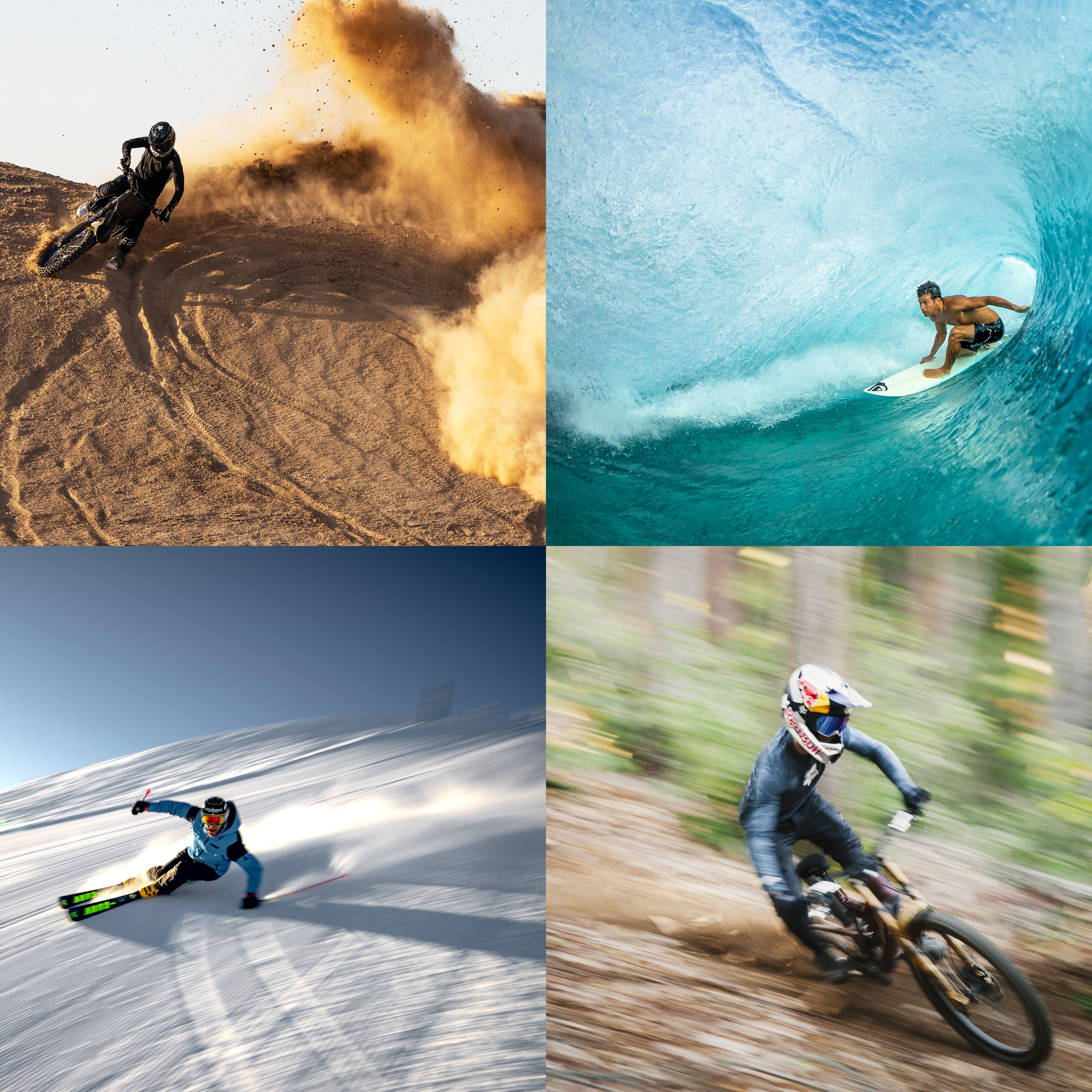 distributore mountain bike motocross surf sci italia