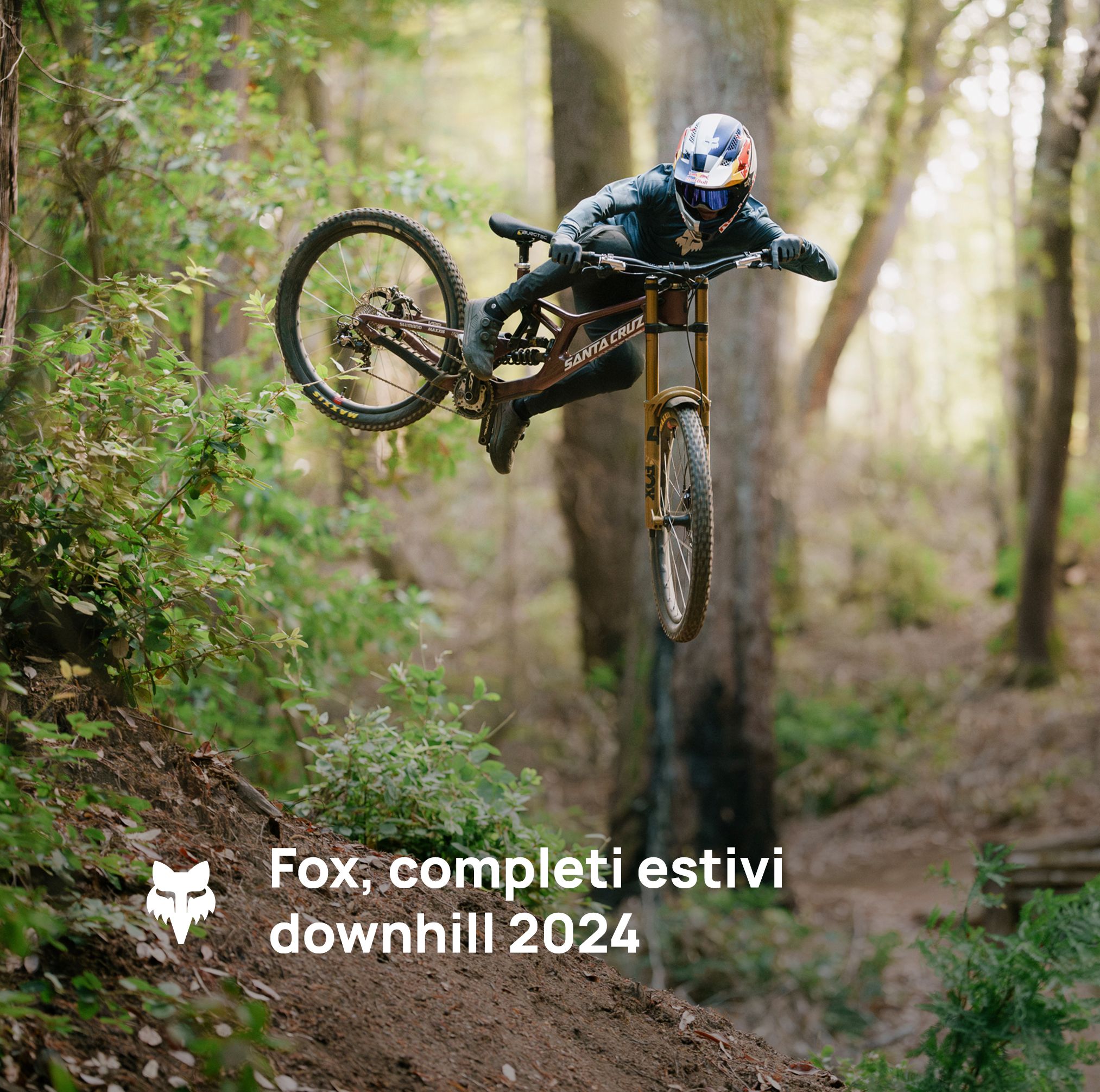 Fox, completi estivi downhill 2024