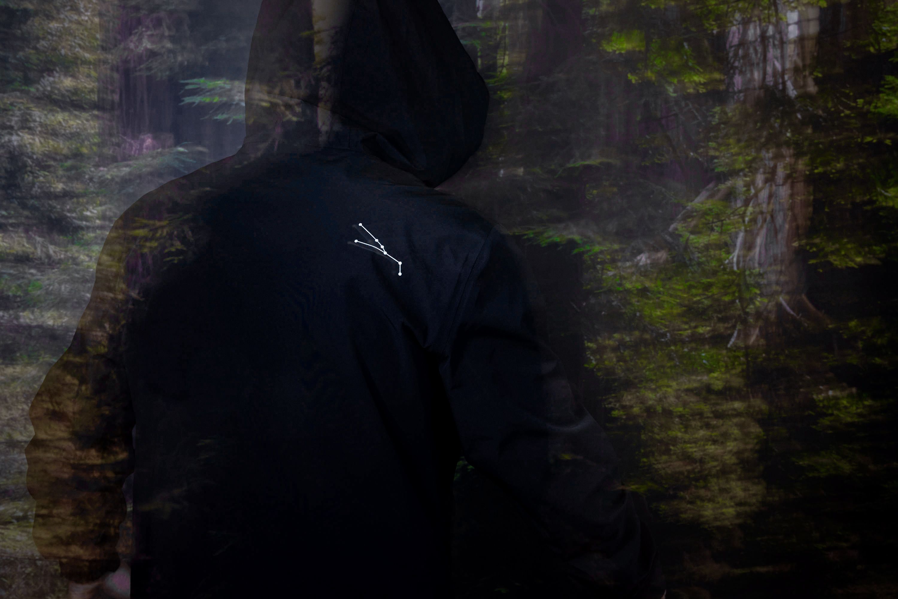 Fox Lunar 2025 cover