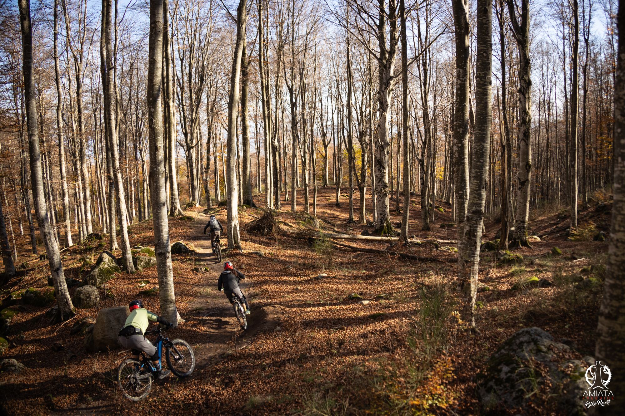 trail bosco di faggi