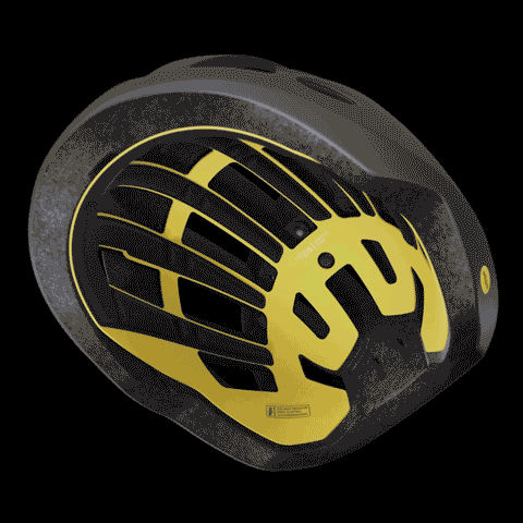 mips evolved core spiegazione