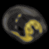 mips evolved core spiegazione