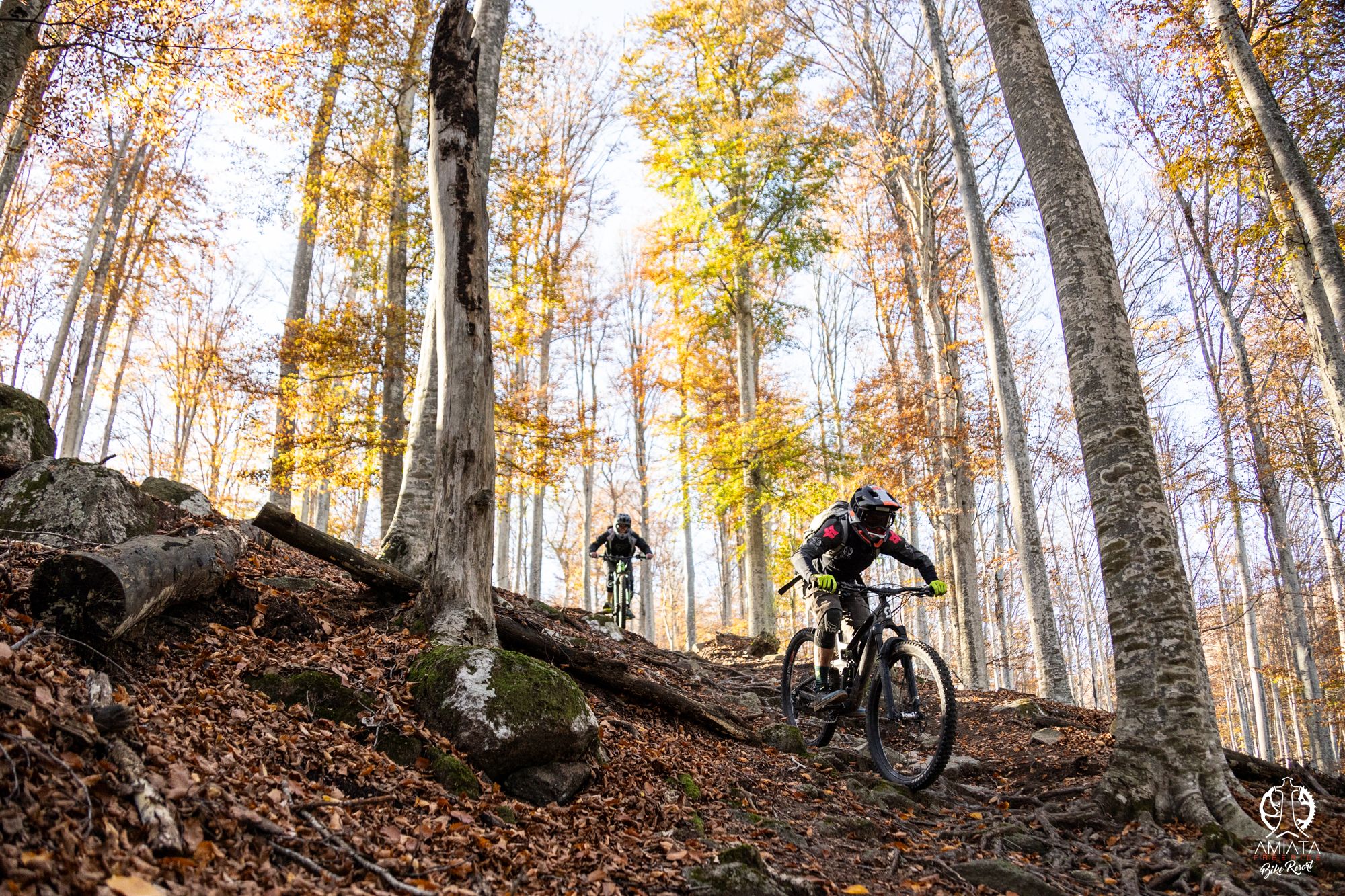 trail foresta con due rider mtb