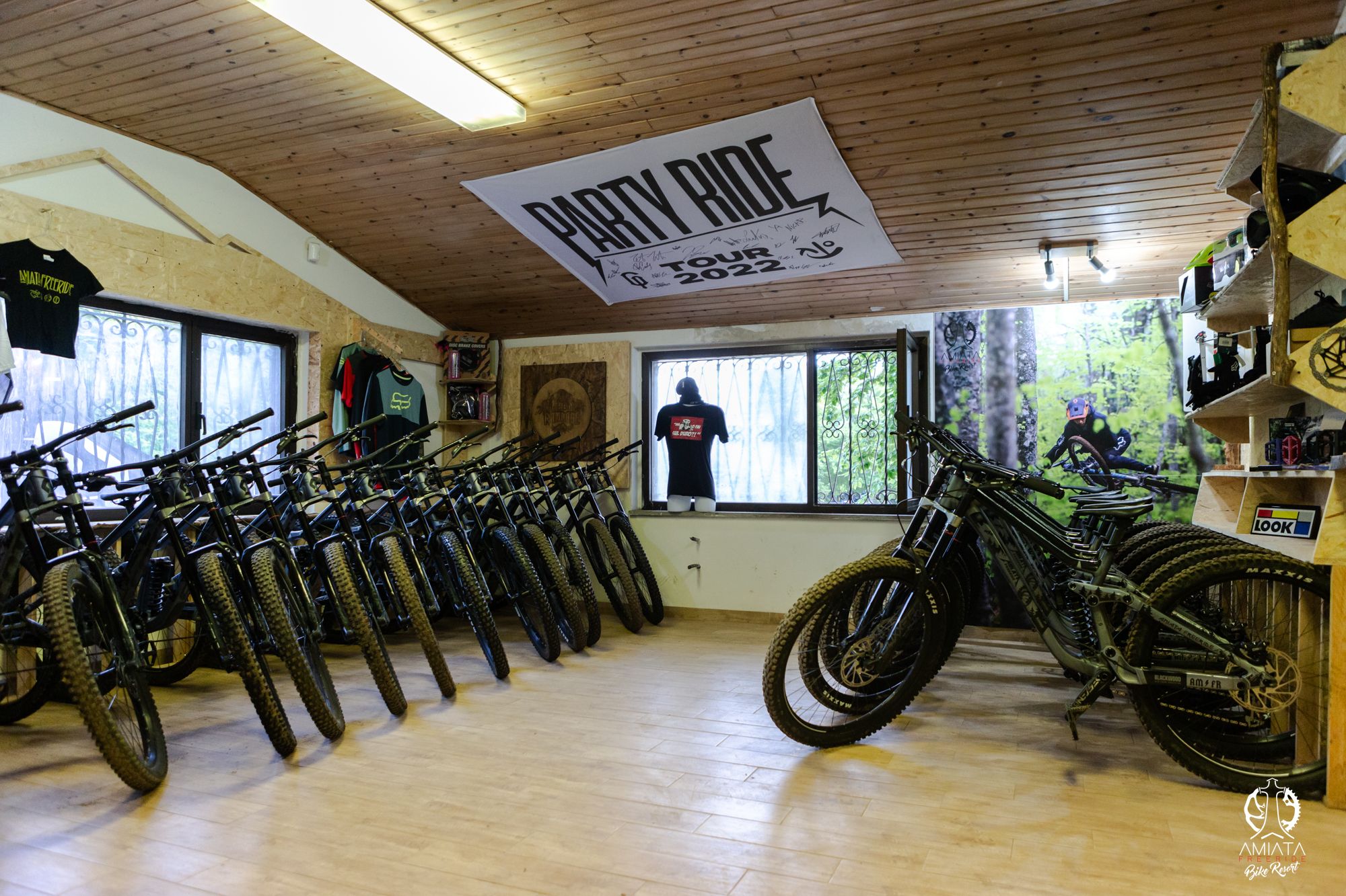 mountain bike noleggio