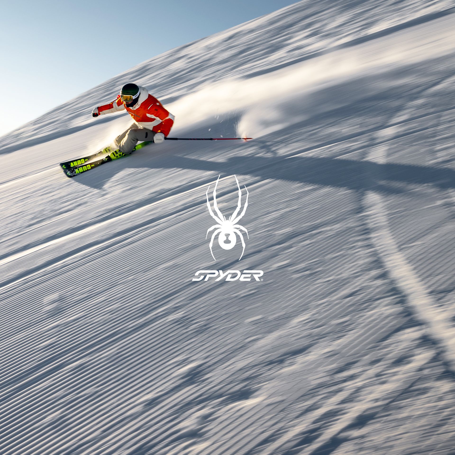 Spyder Distribuzione Italia