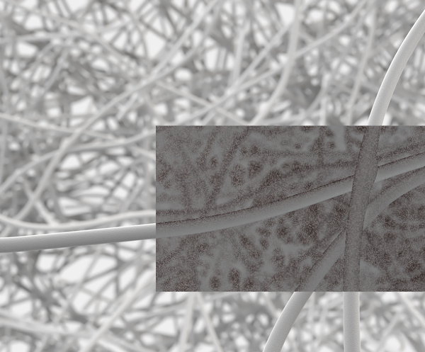 foto stringhe ingrandite