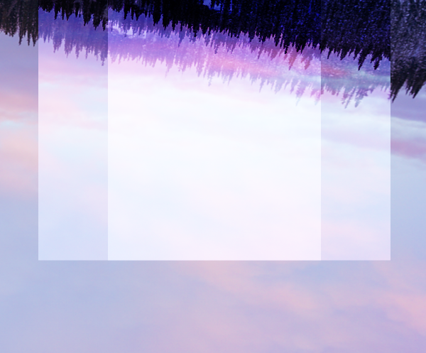 foto di alberi ruotata