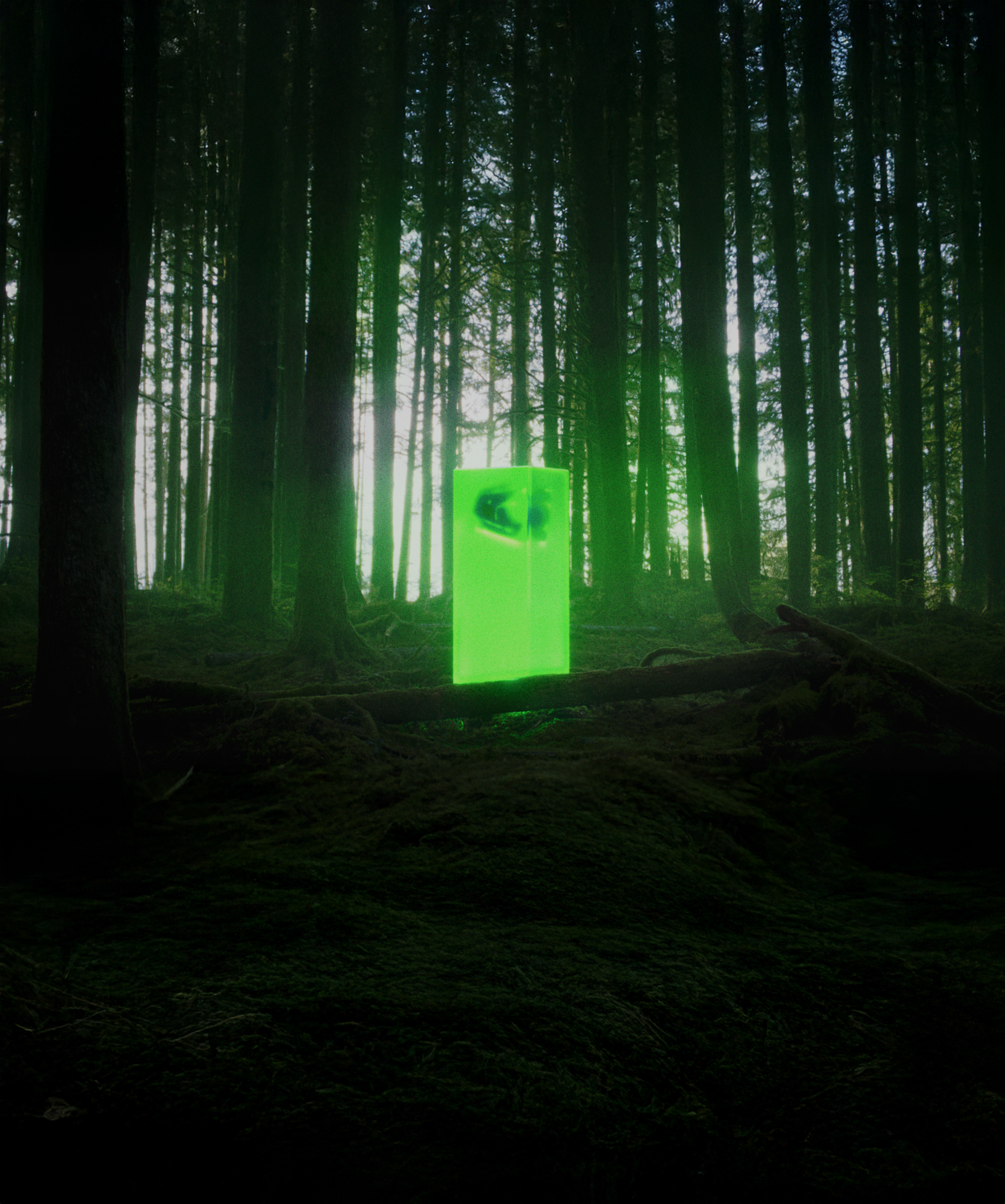 Foto notturna nuovo Fox Rampage RS