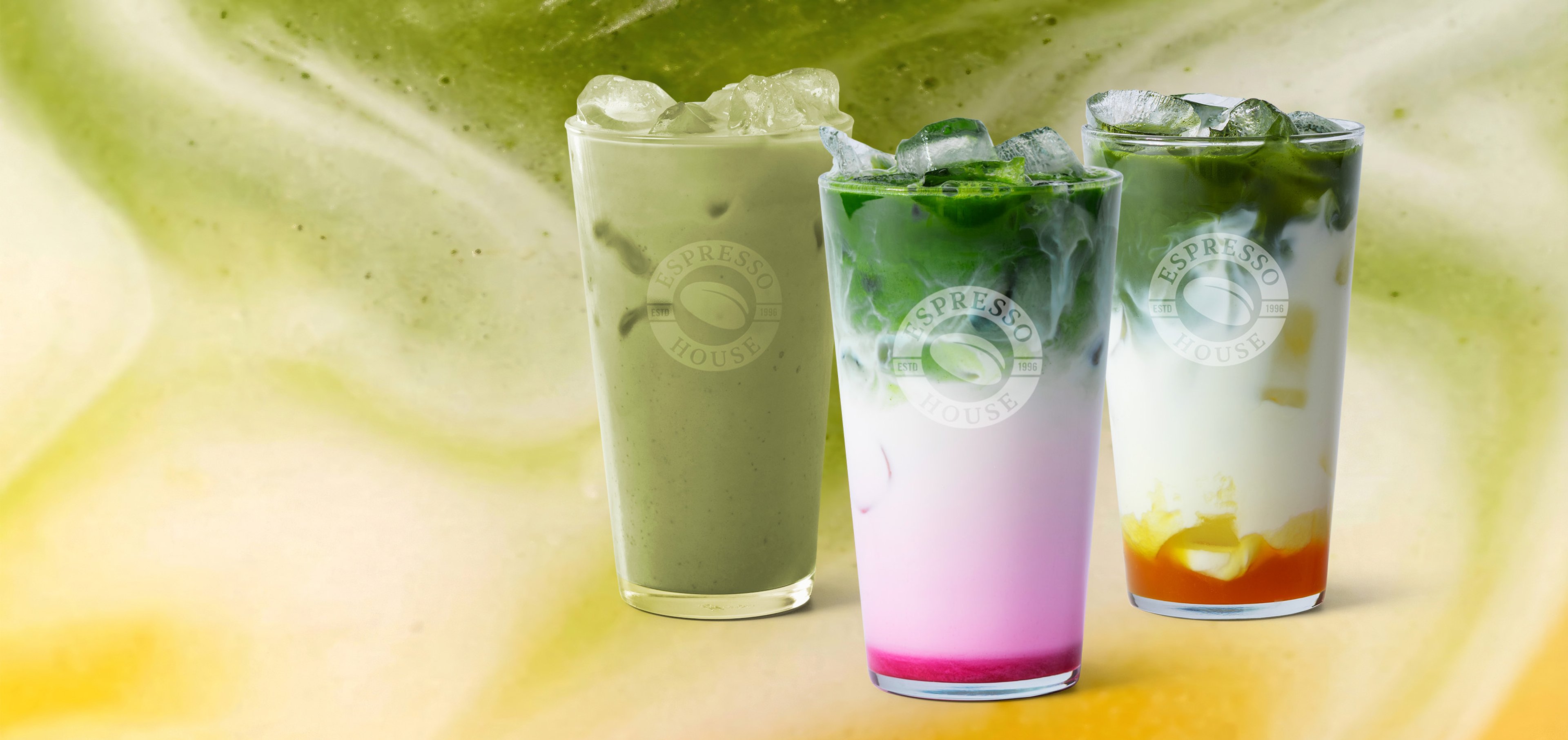 Matcha family
