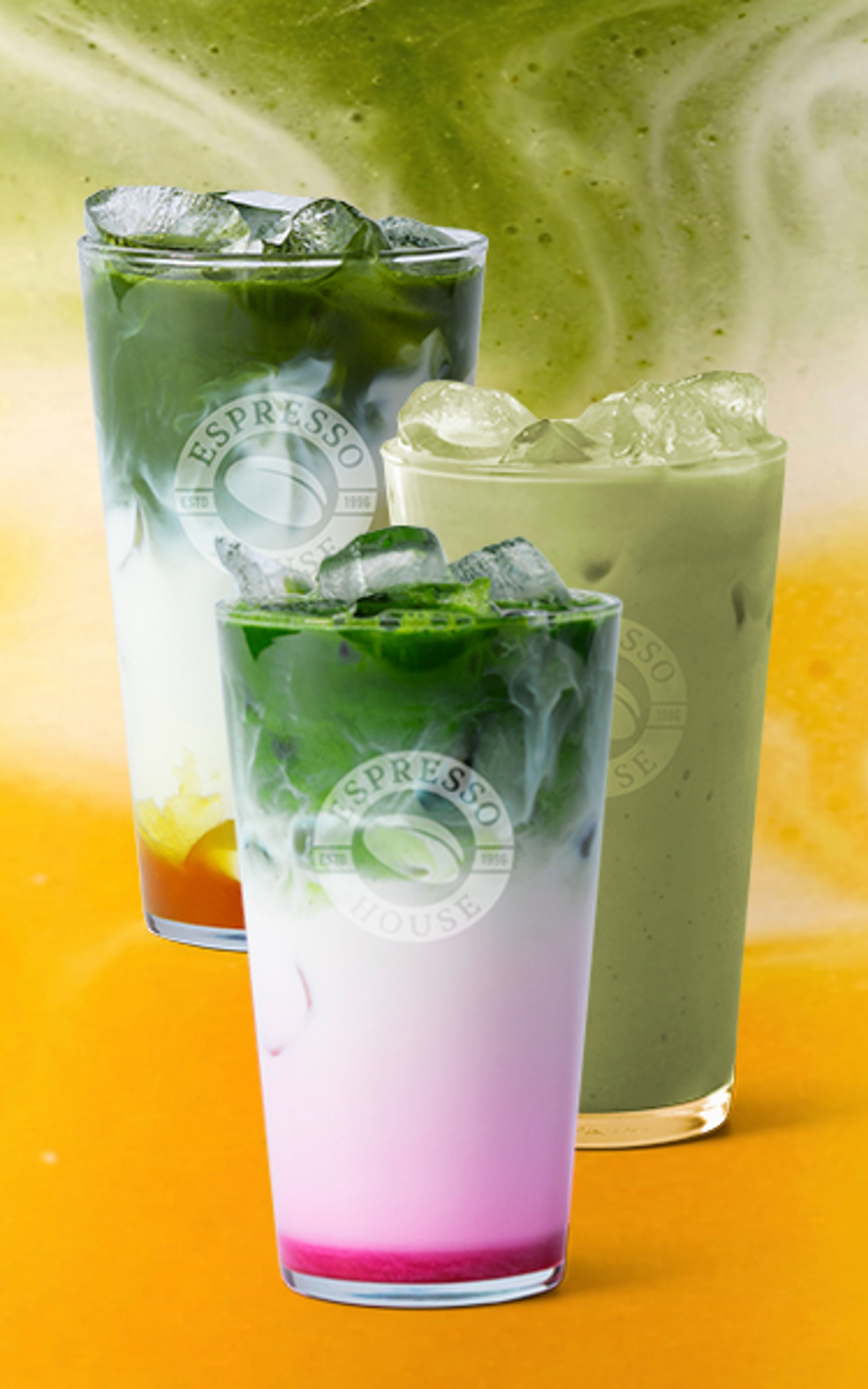 Matcha family