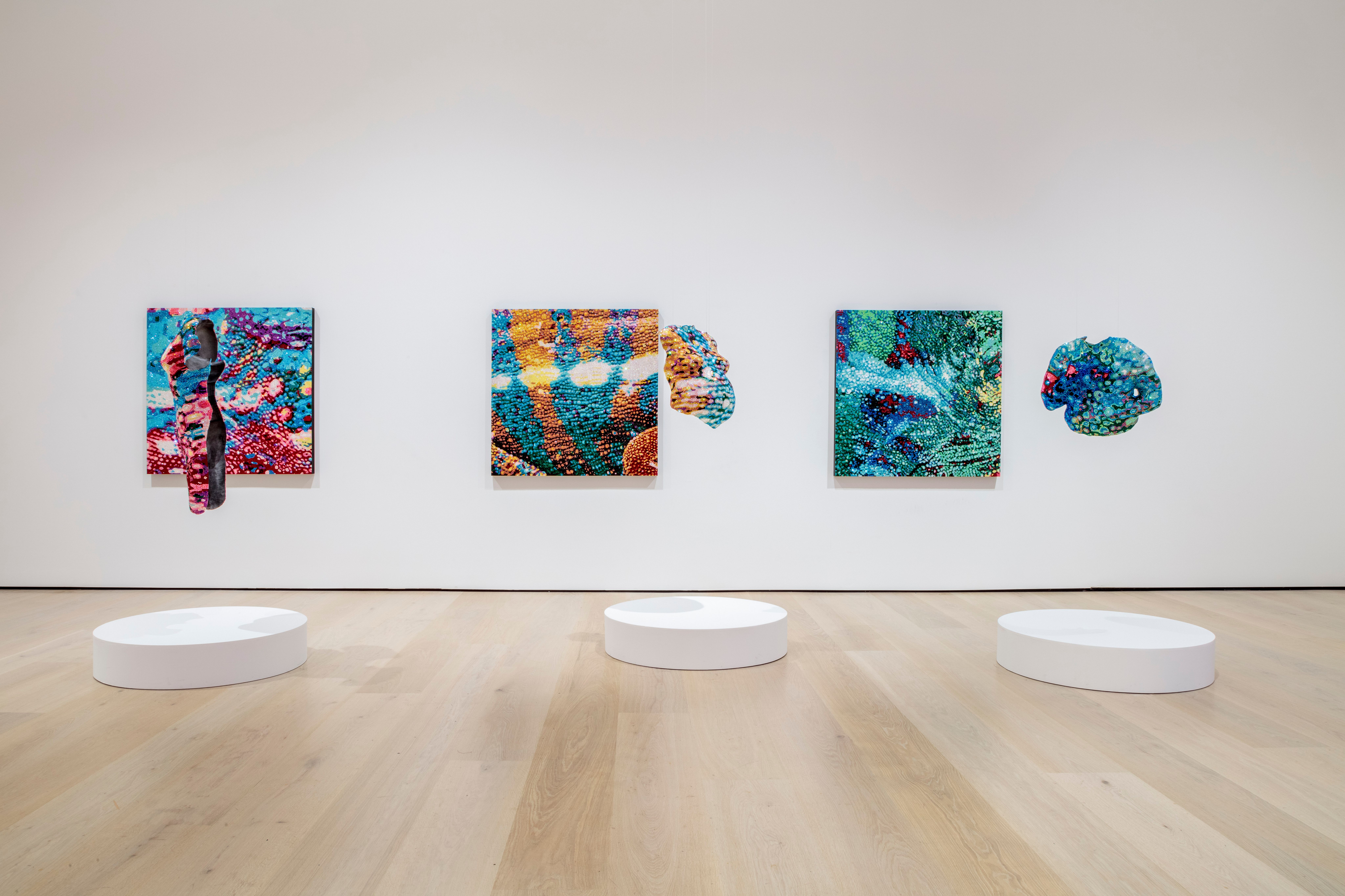 Young Joon Kwak | Trellis Art Fund