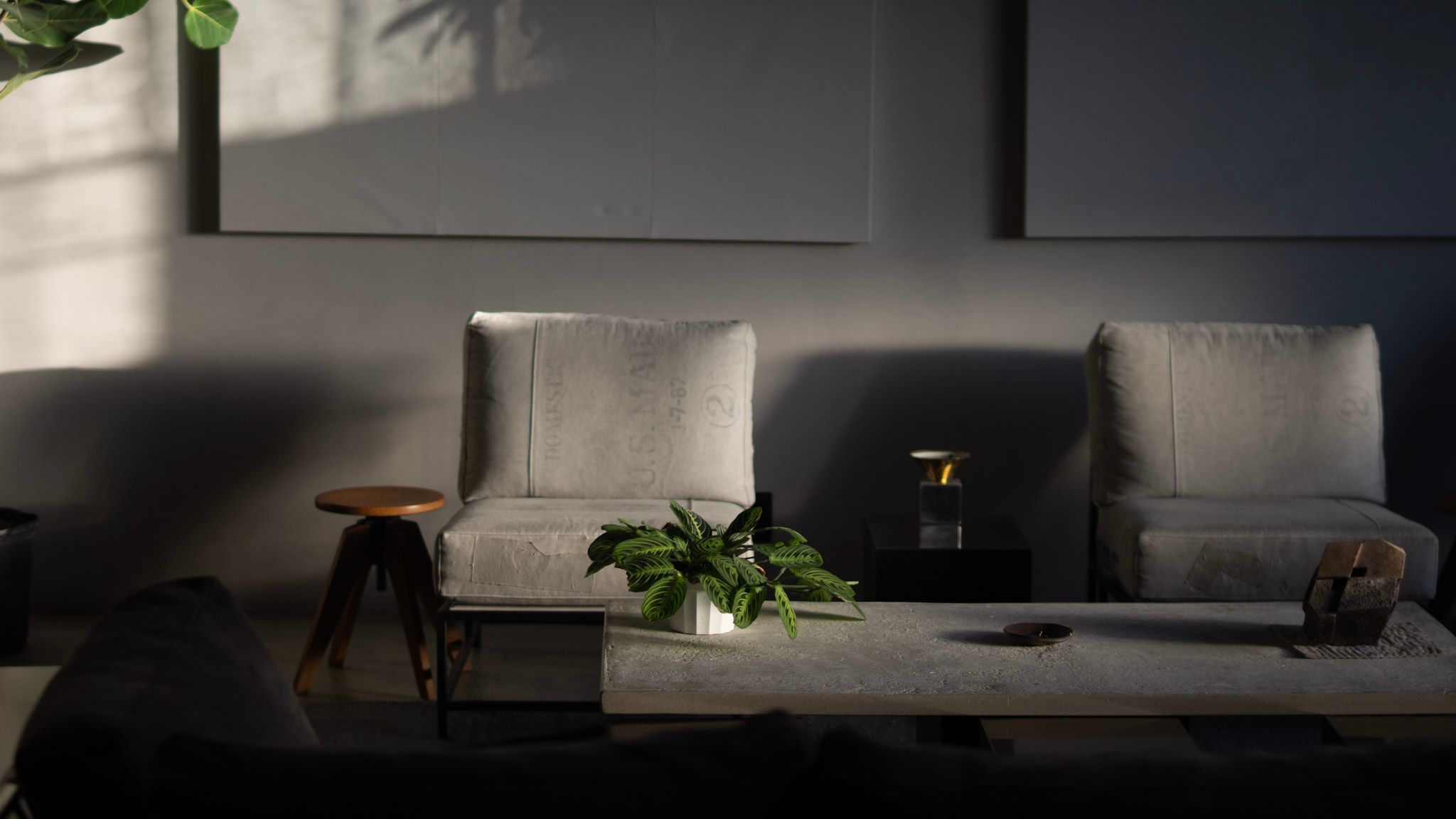 a dark living room with two chairs and a table with a plant on it .