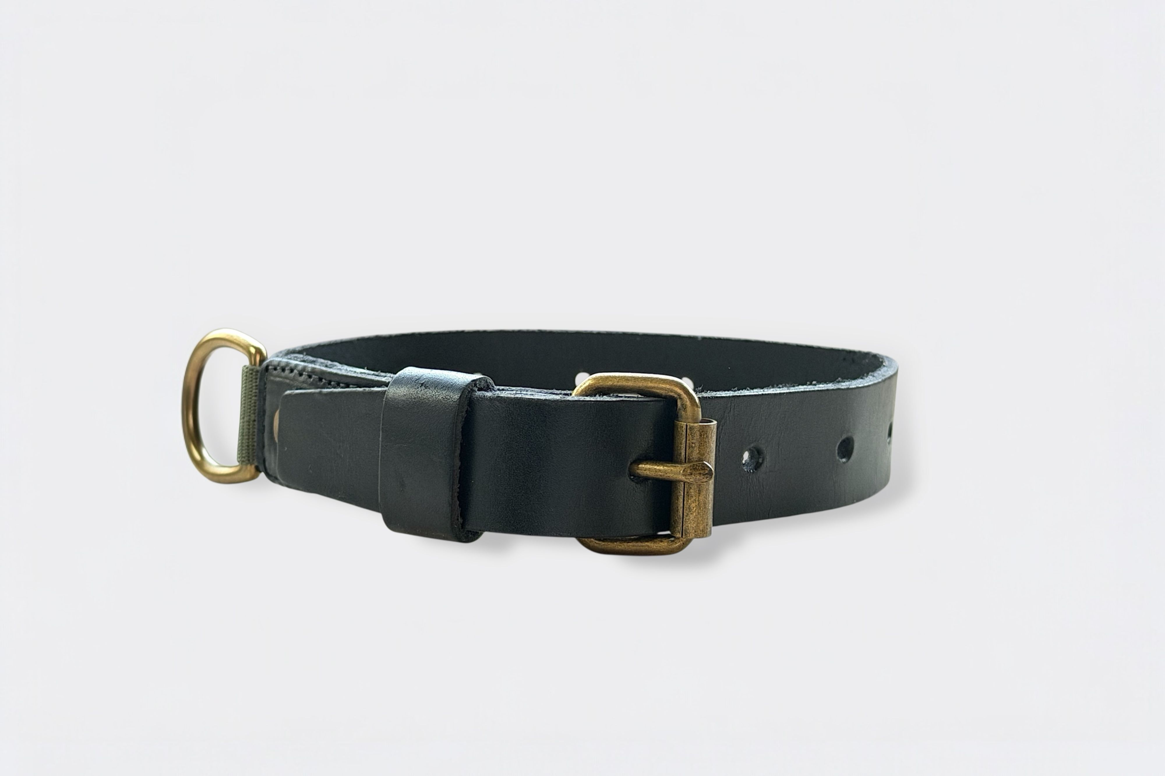 A dark leather collar with a brass buckle and D-ring.