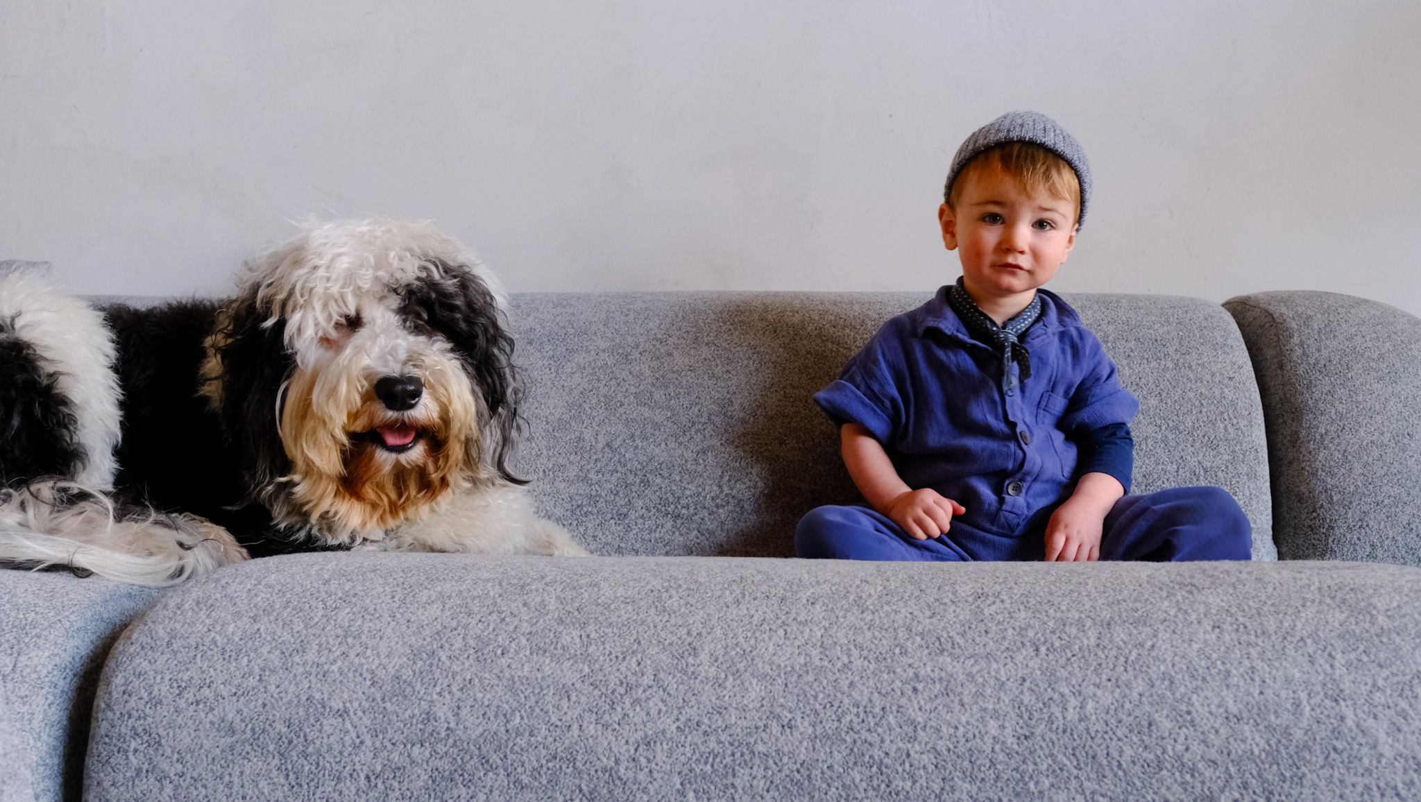 A shaggy black and white dog lies next to a toddler in a blue jumpsuit and gray beanie on a gray couch.