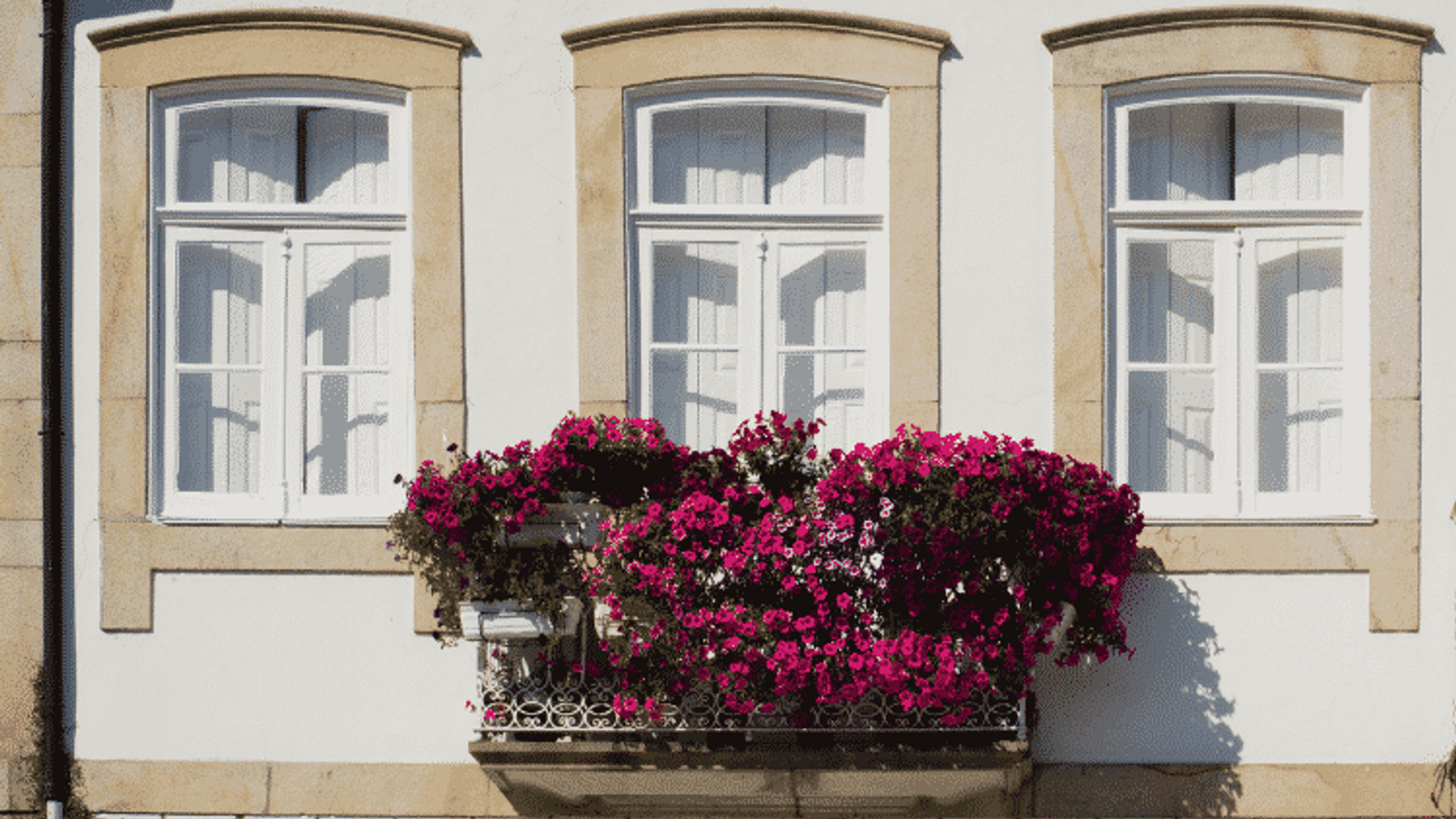 Spring in Portugal