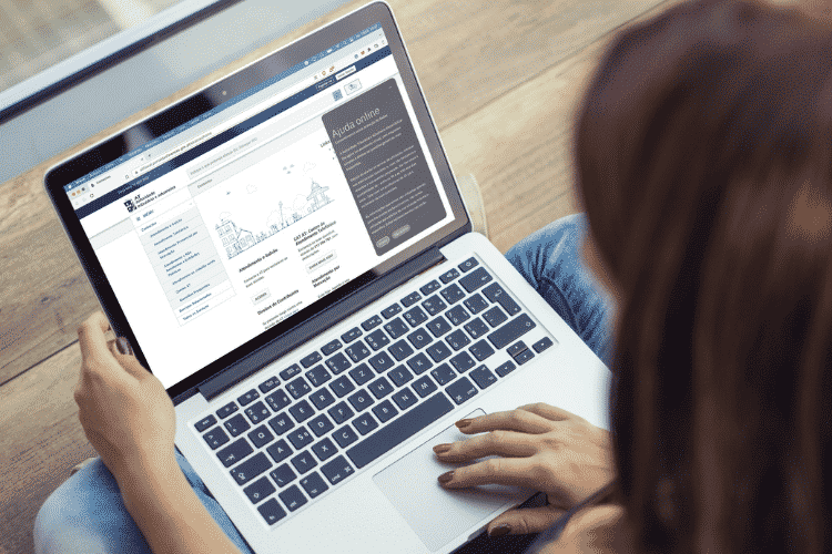Obtendo um Número de Identificação Fiscal online
