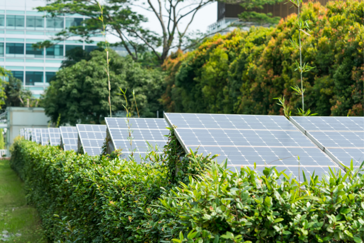 renewable-energy-investments-to-make-in-portugal
