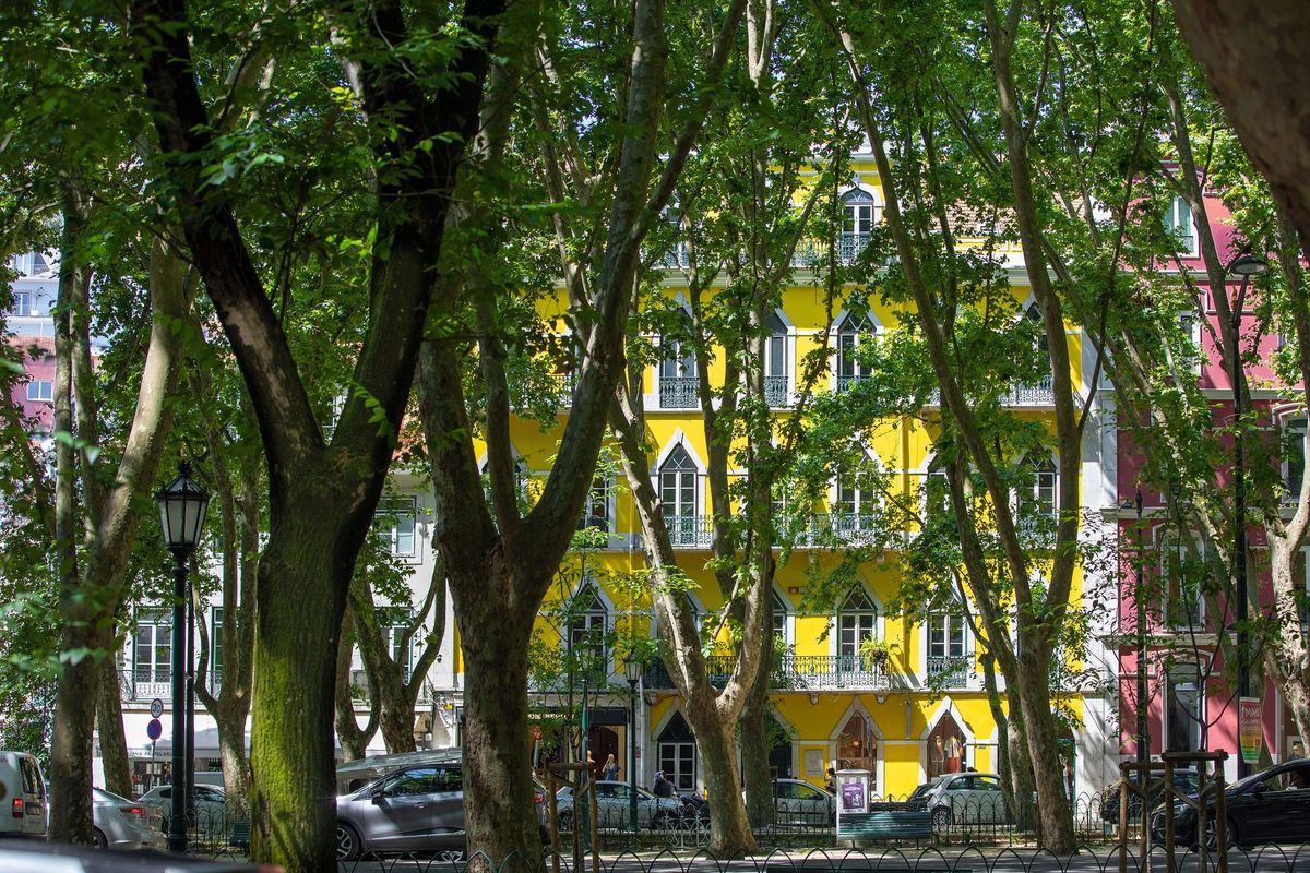 A yellow building behind a row of trees on a Lisbon street