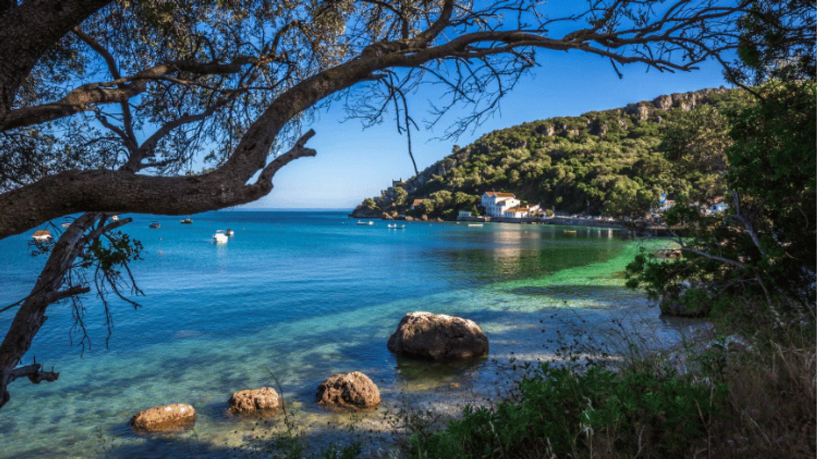 living-in-Setúbal